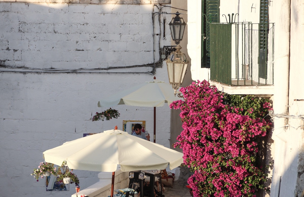 Fleurs Rose Ostuni Pouilles Italie Mylittleroad My Little Road